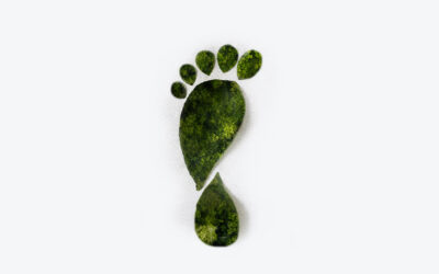 CO2 Fußabdruck berechnen: Diese Daten benötigen Unternehmen für ihren Carbon Footprint