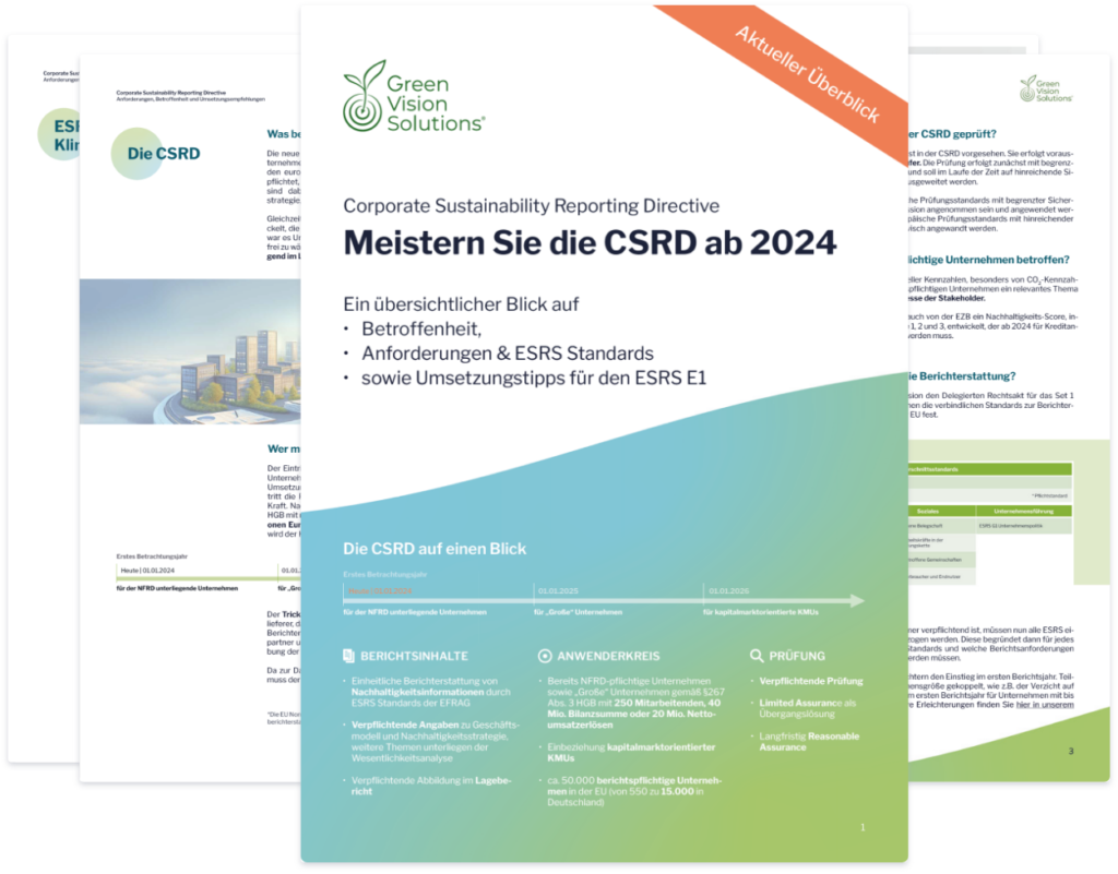 CSRD Überblick 2024 ESRS Standards