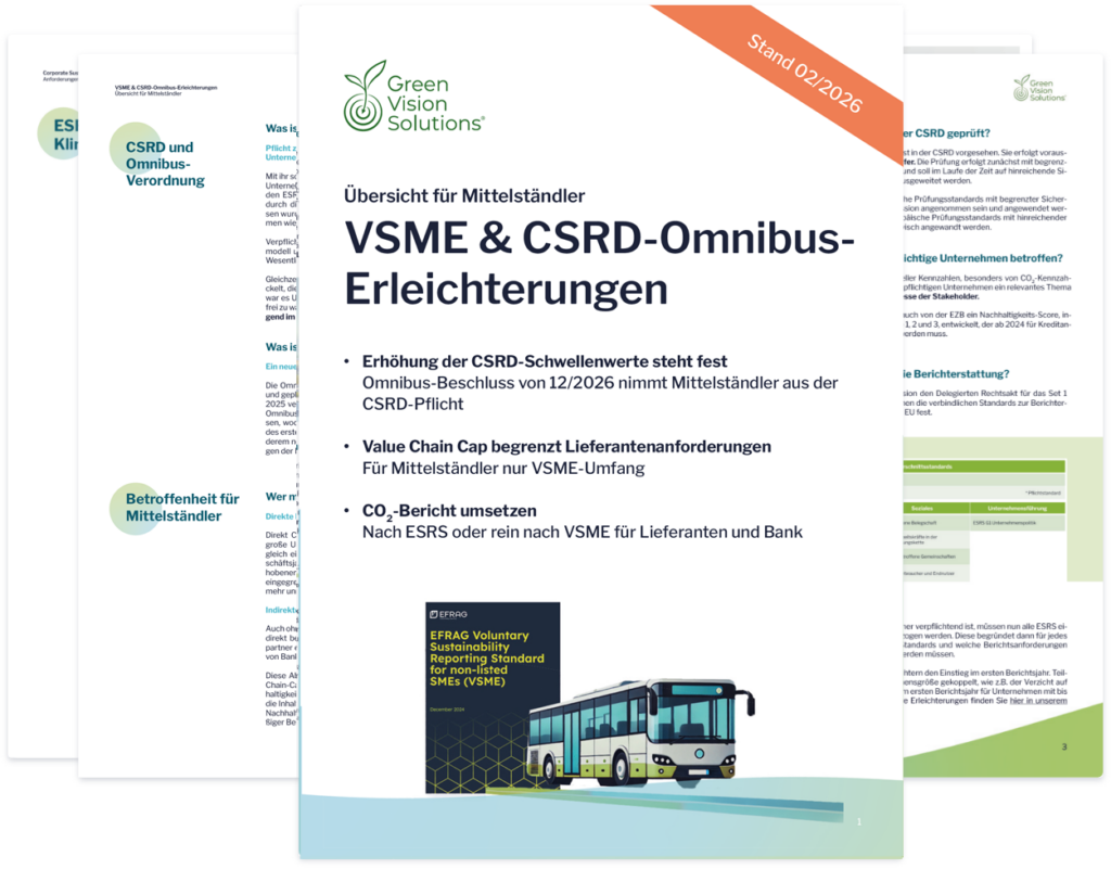 CSRD Überblick 2024 ESRS Standards